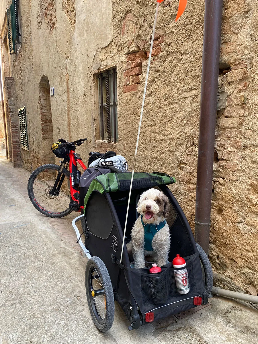 Here is Pippo in his trailer, my four-legged friend! We were riding a touring bike on the Via Francigena