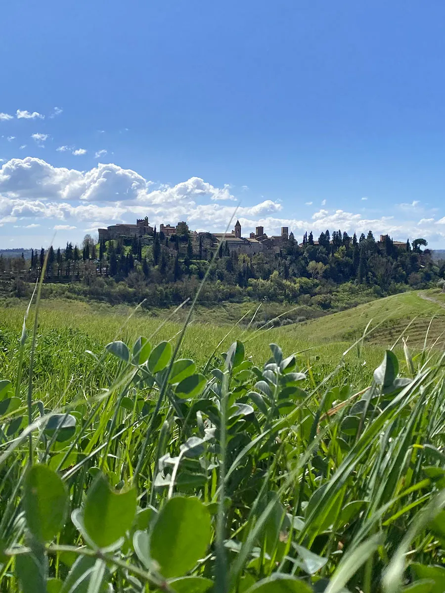 Thank you to the bicycle and its slow movement, you have the opportunity to take wonderful pictures, like this photo that portrays the medieval village of Certaldo Alto